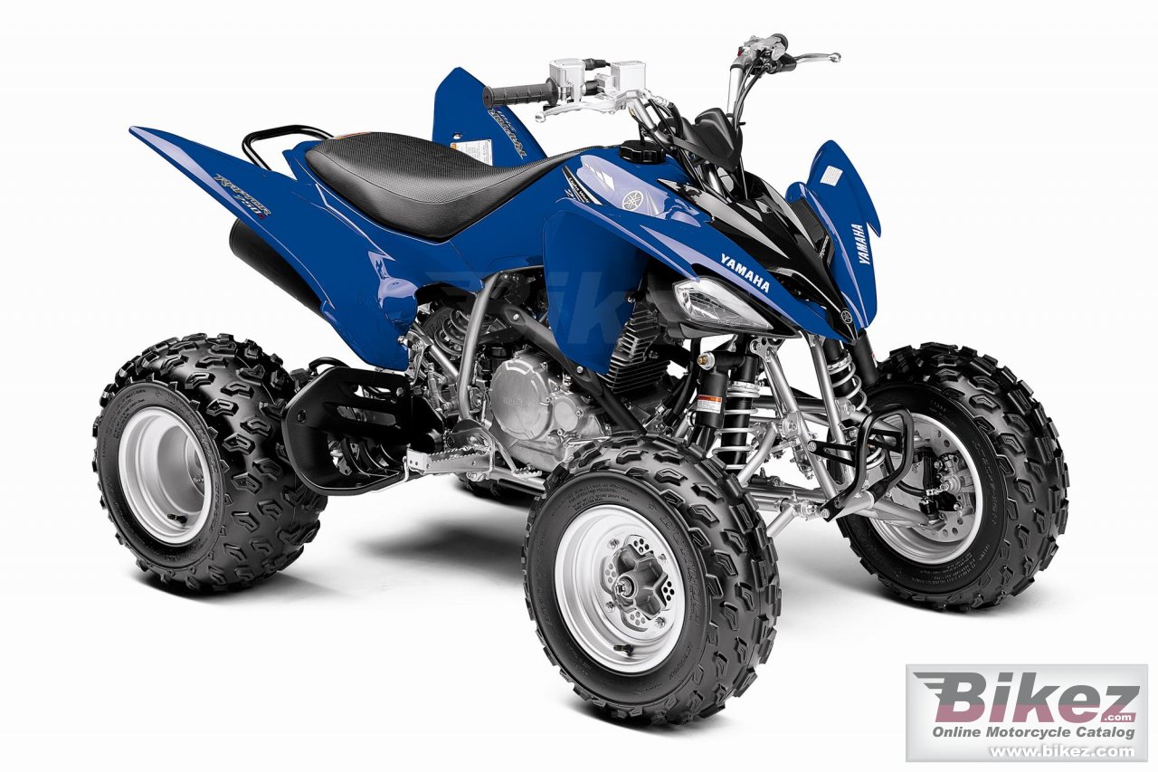 Big Yamaha raptor 250r picture and wallpaper from Bikez.com
